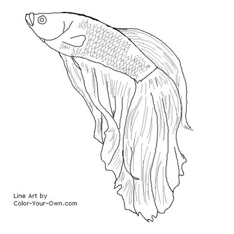 Betta Fish, I'm gonna try to draw this for my friend, she is a Betta freak! Betta Tattoo, Betta Fish Tattoo, Tattoo Sea, Fish Printables, Fish Stencil, Fish Outline, Cardboard Animals, Fish Sketch, Fish Coloring