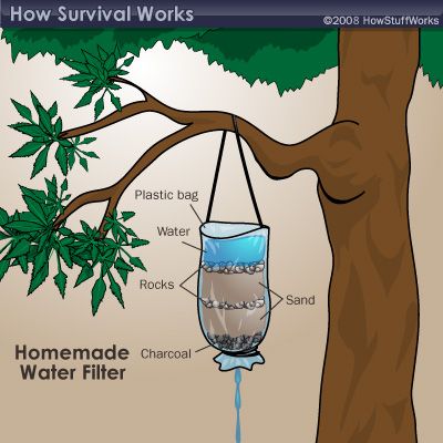 How to Survive in the Jungle(or in the wild or in your backyard) Miejski Survival, Survivor Quotes, Seni Dan Kraf, Emergency Preparation, Survival Life Hacks, Apocalypse Survival, Survival Techniques, Zombie Survival, Survival Life