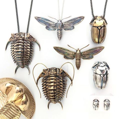 Precise Metallic Replicas of Ancient Fossils and Cells by Allan Drummond | Colossal Found Object Jewelry, Assistant Professor, Molecular Biology, Insect Jewelry, Insect Art, Biochemistry, Found Object, Jewelry Inspo, Pretty Jewellery