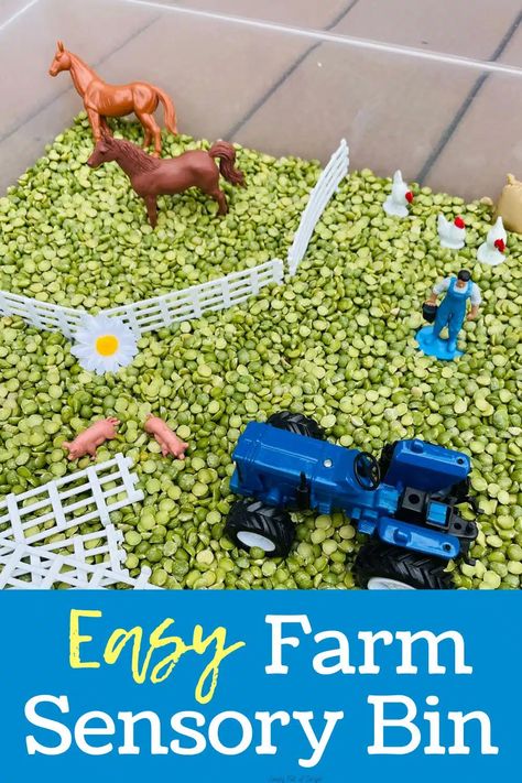 Easy Farm Sensory Bin for Preschool (SO cute!) - Farm Sensory Table, Farm Sensory Activities, Farm Sensory Play, Farm Sensory, Farm Sensory Bin, Summer Daycare, Farm Animals Preschool, Farm Lessons, Farm Light