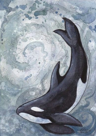 Orca Art, Whale Drawing, Whale Painting, Orca Whale, Shark Art, Whale Art, Orca Whales, Art Inspiration Painting, Book Art Drawings