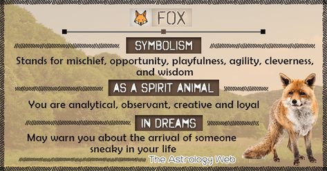 Fox Symbolism Spirit Animal Dream Fox Meaning, Spirit Animal Fox, Fox Symbolism, Fox Spirit Animal, Fox Quotes, Spirit Animal Meaning, Animal Meanings, Animal Quiz, Spirit Animal Totem