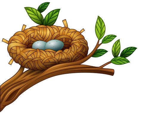 Download the Two eggs in bird nest 11803019 royalty-free Vector from Vecteezy for your project and explore over a million other vectors, icons and clipart graphics! Bird Nest Illustration, Nest Illustration, Sunday School Room Decor, Nest Images, Illustration Bird, Branch Leaves, Disco Party Decorations, Cartoon Trees, Clip Art Pictures