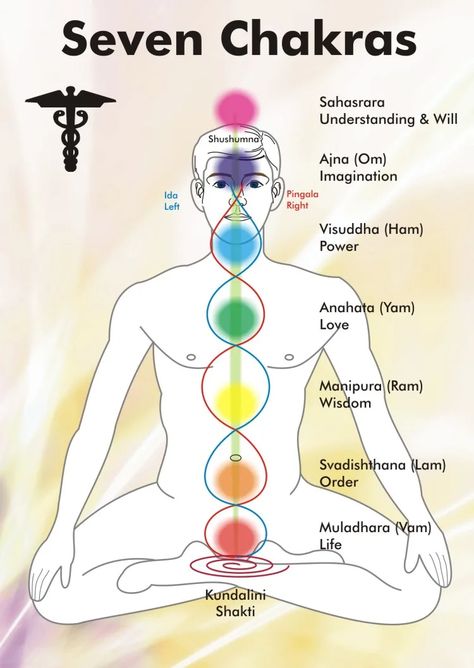 7 Chakras: The Basics and Beyond - HubPages 7 Chakras Meaning, How To Open Chakras, Chakra Chart, Chakra Health, The Seven Chakras, Yoga Kundalini, Chakra System, Chakra Pendant, Seven Chakras