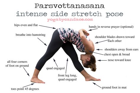 Eka Pada Koundinyasana, Yoga Plan, Yoga Poses Advanced, Yoga Techniques, Advanced Yoga, Ju Jitsu, Bikram Yoga, Yoga Exercises, Teaching Yoga