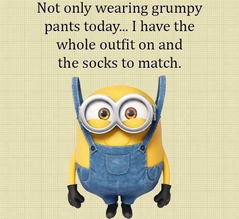 Grumpy Pants, Minions I Swear, Minon Sayings, Minions Memes Hilarious, Minion Best Friend Memes, Man O, Winnie The Pooh Memes Funny Hilarious, Funny Thoughts, Minion Quotes