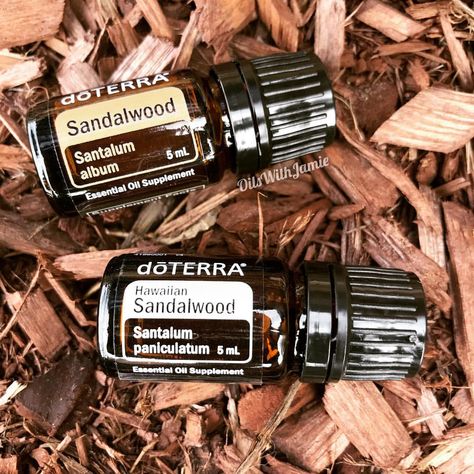 Sandalwood vs. Hawaiian Sandalwood...What is the difference?!?! You may have noticed that @doterra sells two kinds of Sandalwoods. Both… Doterra Sandalwood, Why Doterra, Candle Marketing, Do Terra Essential Oils, Terra Essential Oils, Indian Sandalwood, Doterra Essential Oils Recipes, Sandalwood Essential Oil, Do Terra