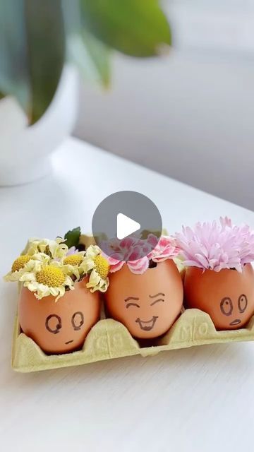 How To Use Eggshells For Plants, Egg Shell Water For Plants, How To Use Egg Shells For House Plants, Egg Shell Candles, Diy Flower Pot, Egg Shell, Egg Shells, Plant Lover, Flower Pot