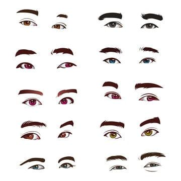 Human Eye Drawing, Makeup Artist Tools, Eye Vector, Eyes Vector, Portrait Illustrator, Eyes Clipart, Human Vector, Vector Portrait Illustration, Human Eyes