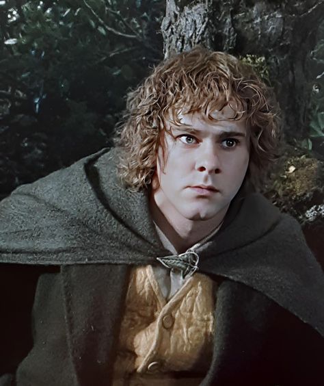 Merry Lotr, Merry Brandybuck, Dominic Monaghan, The Flying Nun, Merry And Pippin, Lotr Cast, Samwise Gamgee, Hobbit An Unexpected Journey, Frodo Baggins