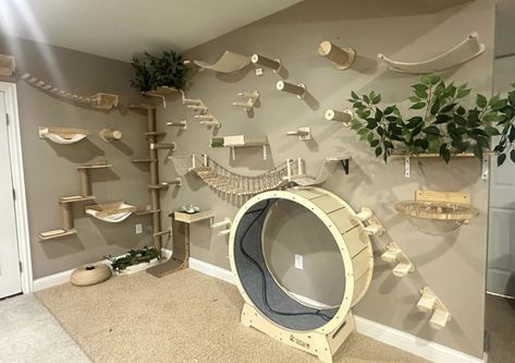 Cat Room Decor, Cat Wheel, Katt Grejer, Kat Diy, Cat Patio, Cat Hotel, Cat Wall Furniture, Cat House Diy, Cat Playground