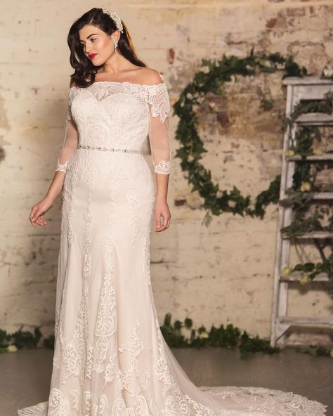 TRUE BRIDE on Instagram: “Our glamorous Bianca dress is a timeless style. Featuring a cold shoulder Bardot cut with an illusion tulle and gorgeous appliqué lace,…” Wedding Dress By Body Type, Turtleneck Wedding Dress, Greek Goddess Wedding Dress, Goddess Plus Size, Neckline Ideas, Wedding Dress Fishtail, Elegant Bridal Dress, True Bride, Column Wedding Dress