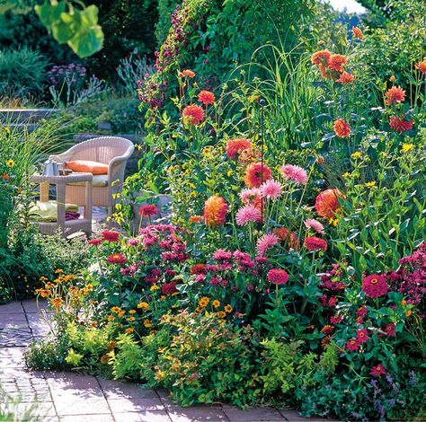 Orange And Purple Garden, Pink And Yellow Garden, Cottage Garden Color Palette, Garden Colour Palette, Colourful Garden Ideas, Garden Colour Schemes, Pink And Orange Garden, Colourful Gardens, Garden Color Palette