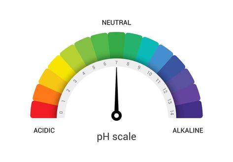 Vegetable Garden Soil pH-- Harvest to Table Vegetable Garden Soil, Ph Scale, Landscaping Backyard, Ph Meter, Plant Nutrients, Soil Testing, Soil Ph, Root Growth, Master Gardener