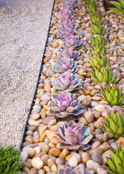 8 Elements To Include When Designing Your Zen Garden // Succulents -- Plant life connects you to nature and aids in the process of relaxation. Including low maintenance plants, like succulents, in your zen garden helps create feelings of calmness and serenity. More Succulent Garden Landscape, Zen Garden Design, Succulent Landscaping, Meditation Garden, Garden Help, Low Maintenance Garden, Succulent Garden, Garden Bed, Zen Garden