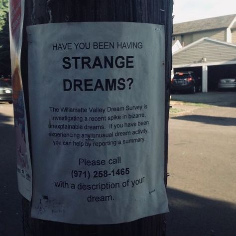 1166. The flyers were up the next morning, all wrinkled and weather-worn even though she was positive they hadn't been there before. Someone knew. Someone wanted to know. She took a picture to save the phone number, despite telling herself she wouldn't call anyway. #1166. Indrid Cold, Strange Dreams, San Myshuno, Between Two Worlds, Welcome To Night Vale, Night Vale, Slenderman, Southern Gothic, Weird Dreams