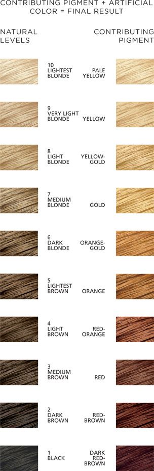 Contributing Pigment Chart Hair Levels, Hair Color Orange, Hair Color Formulas, Hair Color Chart, Hair Affair, Hair Color And Cut, New Hair Colors, Looks Style, Hair Dos