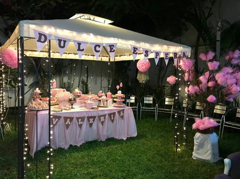 Tent Gender Reveal Ideas Outdoor, Gazebo Birthday Decorations, Backyard Gender Reveal Party Decorations, Country Halloween Decor, Backyard Baby Showers, Backyard Graduation Party, Sweet Sixteen Birthday Party Ideas, Orange Baby Shower, Outside Baby Showers