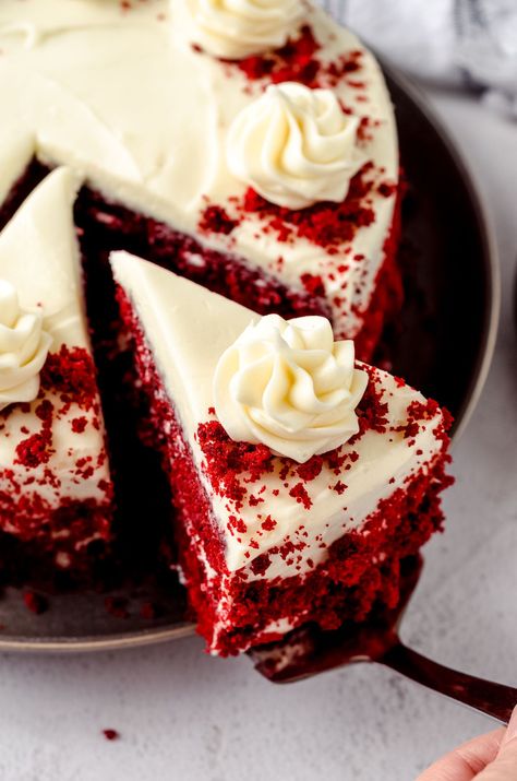 Vegan Red Velvet Cake, Best Red Velvet Cake, Bolo Red Velvet, Cream Cheese Frosting Cake, Red Velvet Cake Recipe, Velvet Cake Recipes, Red Velvet Cheesecake, Red Velvet Cupcakes, Classic Cake