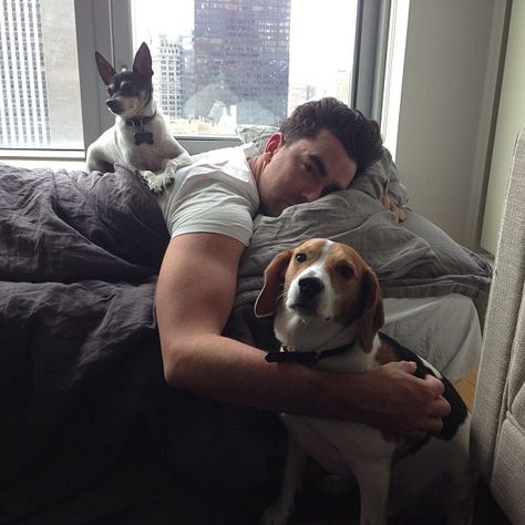 Dan Levy, Nerdy Guys, Daniel Levy, Dog Whisperer, Schitts Creek, Young Actors, Heart Eyes, The Dog, Celebrity Crush