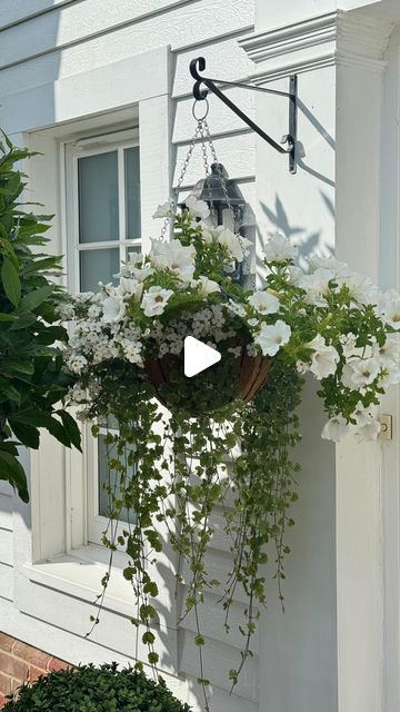 THE SUFFOLK NEST Ashlee Jane on Instagram: "The hanging baskets are really putting on a show at the moment 🤍🌿 such a simple combination. I planted these on 28th May and here they are 5 weeks later.   #hangingbasket #hangingbaskets #doordecor #kerbappeal #curbappeal #frontdoor #diygardening #summerplants #gardeninspo #gardeninspiration #plantinginspiration #gardenlove #englishsummer" White And Green Hanging Baskets, Hanging Baskets Front Door, Spring Hanging Baskets, Hanging Baskets Flowers, Hanging Basket Garden, Kitchen Entry, English Summer, European Garden, Hanging Flower Baskets