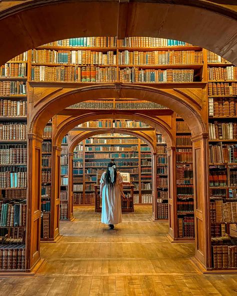 Upper Lusatian Library of Sciences Circle Library, Big Libraries, Freemason Lodge, Most Beautiful Libraries, Stucco Ceiling, Grand Library, Beautiful Libraries, Magical Room, Beautiful Library