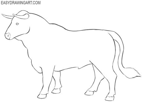 How to Draw a Bull | Easy Drawing Art How To Draw Bull, Bull Drawing Easy, Bull Drawing Simple, Western Drawings Simple, Bull Art Drawing, Bull Drawing, Cow Sketch, Drawing Easy Step By Step, Very Easy Drawing