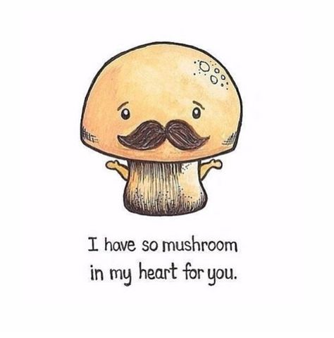 I have so mushroom in my heart for you Mushroom Quotes, Love Puns, Cute Puns, My Funny Valentine, Funny Puns, Happy Valentines Day, Puns, Make Me Smile, Happy Valentine