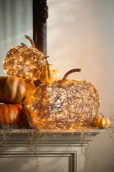 Rattan Pumpkins, Top Decor Ideas, Festive Centerpieces, Outdoor Living Furniture, Adornos Halloween, Flickering Lights, Pumpkin Fall Decor, Pumpkin Candles, Glass Pumpkins