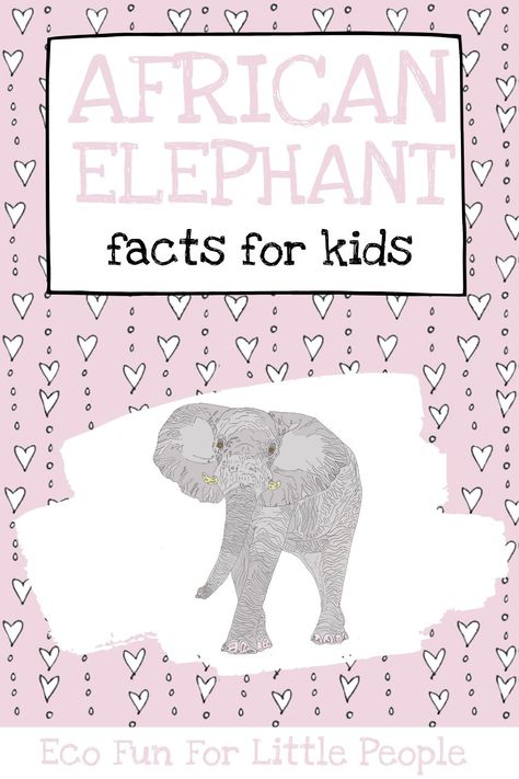 Learn all about the huge African elephant, wow your friends with some fascinating facts, read about how big they really are, where they live, how they spend their day and what they eat. Understand what makes these creatures so important and why they are threatened. Elephant Facts For Kids, Elephant Facts, Printable Reward Charts, Elephant Poster, Facts For Kids, Fascinating Facts, Endangered Animals, African Elephant, Amazing Facts