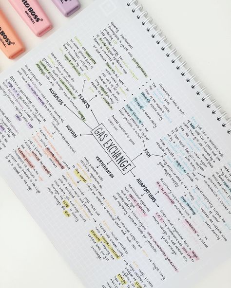 Made this mindmap and I’m not quite sure about how it turned out because I used so many colours😂😩trynna condense all the AS topics as much as I can. I’ve set Tuesday mornings and Friday afternoons as my AS revision time, so I actually get some done!  #studywithzoe #studygram #studyspo #alevels #revision Studygram Ideas, Revision Motivation, College Notes, Chemistry Notes, School Organization Notes, Biology Notes, Notes Organization, Pretty Notes, Notes Inspiration