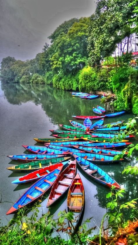 f41696cd5bfb815803ca84ddc525e752 Ship Sails, Water Transport, Canoes, Canoe And Kayak, World Of Color, Color Of Life, Summer Camp, Goa, Early Morning