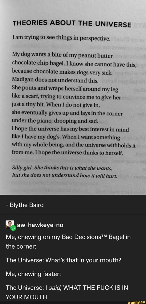 Chocolate Chip Bagel, Blythe Baird, Theories About The Universe, New Energy, The Piano, Tumblr Funny, Pretty Words, Decision Making, Funny Posts