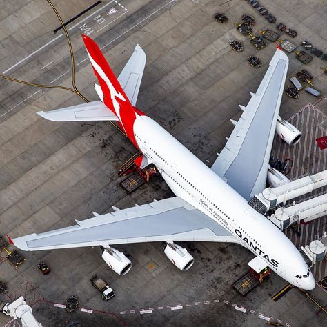 James | Speedbirduk on Instagram: “Qantas A380 (VH-OQG) parked up at the international terminal at Sydney last summer! There is something about aerial gate shots that does it…” Qantas A380, Gate, Sydney, Aircraft, On Instagram, Instagram