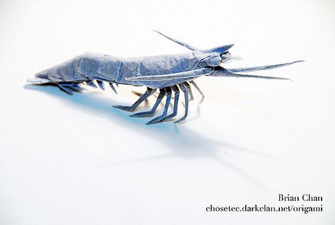 Shrimp Origami (v.2) | chosetec.darkclan.net/origami (design… | Flickr Blue Lobster, Origami Design, How To Fold, Paper Art, Origami, Square, Animals, Blue, Art