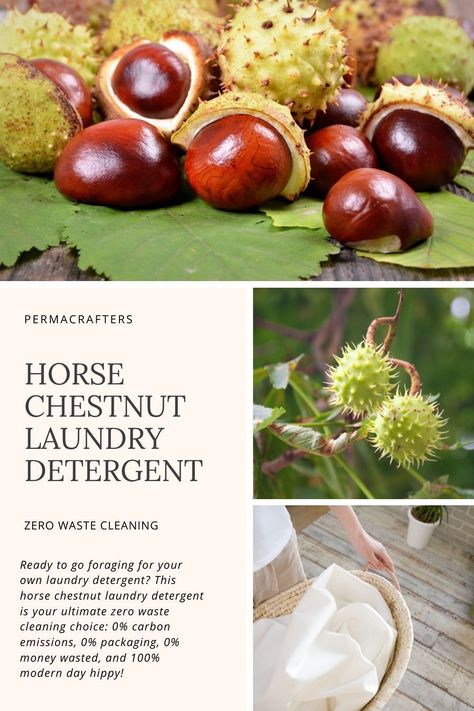 Chestnut Laundry Detergent, Horse Chestnut Soap, Conker Detergent, Zero Waste Cleaning, Natural Cleaning Products Diy, Horse Chestnut, Astuces Diy, Horse Diy, Chestnut Horse