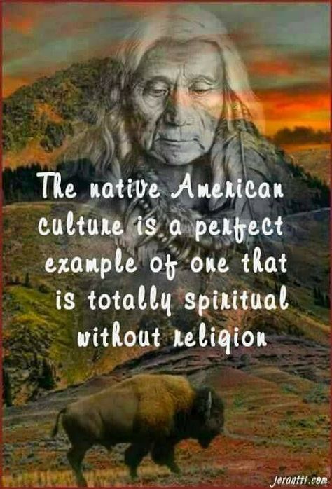 Native American Quotes Wisdom, Native American Proverbs, Rainy Tuesday, Native American Facts, Native American Beliefs, Native Quotes, American Indian Quotes, American Indian Artwork, American Proverbs