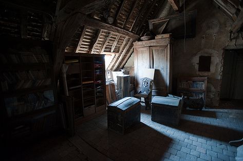 Attic Abandoned Attic, Attic Conversion Ideas, Old Attic, Attic Decor, Attic Office, Attic Renovation Ideas, Flowers In The Attic, Attic Closet, Attic Playroom