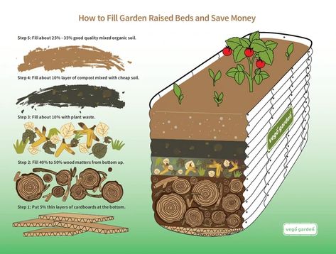 5 Reasons To Start Your Garden In The Winter – Vego Garden Gardening Raised Beds, Garden Raised Beds, Backyard Vibes, Vego Garden, Raised Garden Beds Diy Vegetables, Raised Vegetable Gardens, Vegetable Garden Raised Beds, Diy Raised Garden, Backyard Vegetable Gardens