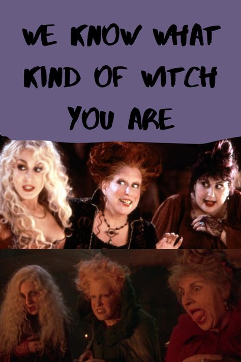 Which Witch Are You, Different Types Of Witches Quiz, Are You A Witch, What Type Of Witch Am I, What Witch Am I, What Kind Of Witch Am I Quiz, What Type Of Witch Am I Quiz, What Kind Of Witch Am I, Different Kinds Of Witches