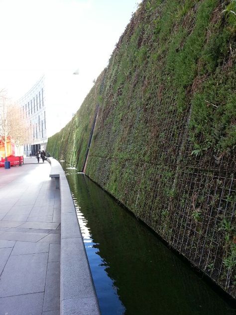 Vertical Garden near O2 Arena, London. Green Retaining Wall, Rock Wall Gardens, O2 Arena London, Noise Barrier, Garden Retaining Wall, Coral Beach, Outdoor Park, O2 Arena, Block Wall