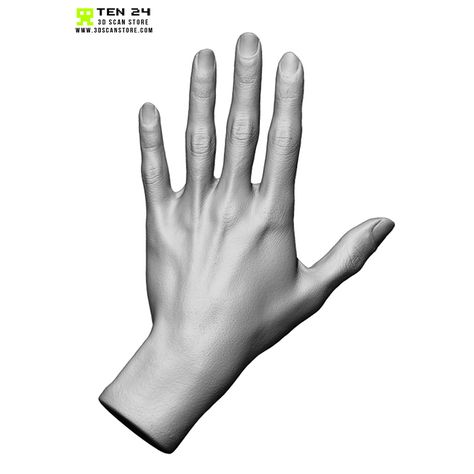 Female Bundle Pack Straight Hand Reference, Female Arms Anatomy, 3d Hand Reference, Woman Hands Reference, Female Hand Anatomy, Female Hands Reference, Hand Anatomy Reference, Woman Hand Reference, Female Hand Reference