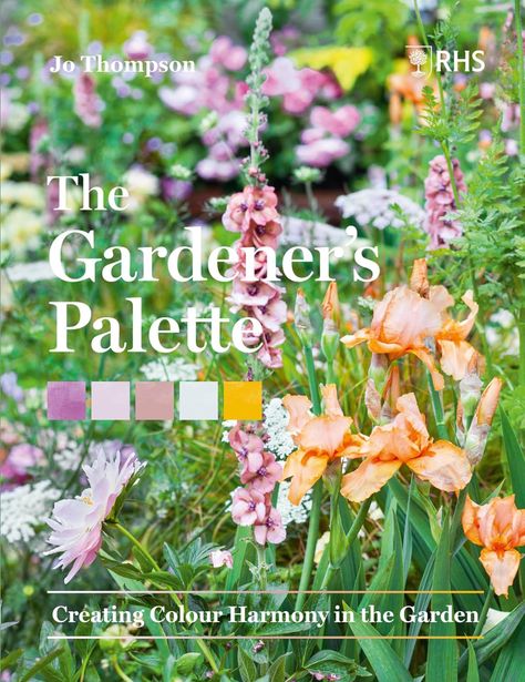 The Gardener’s Palette: Creating Colour Harmony in the Garden: Thompson, Jo, Royal Horticultural Society: 9781604699593: Amazon.com: Books Colour Harmony, The Gardener, Gardening Books, Colorful Plants, Chelsea Flower, Chelsea Flower Show, Color Harmony, Different Plants, Colorful Garden