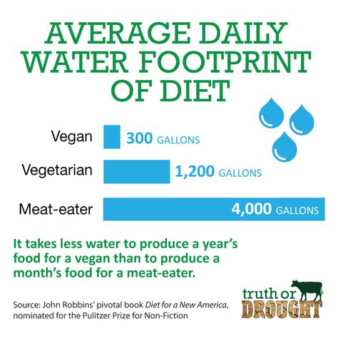 Being Vegetarian, Water Footprint, Vegan Facts, Meat Eater, Vegan Memes, Vegetarian Lifestyle, Why Vegan, Vegan Inspiration, Vegan Fitness