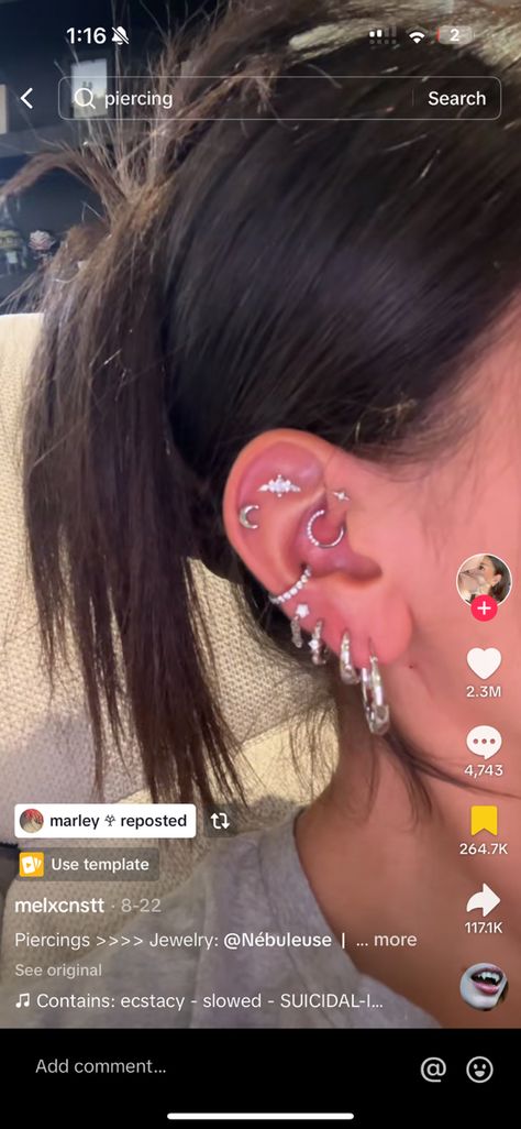 Ear Piercings Combos, Cartlidge Earring Placement, Tragus Piercing Aesthetic, Cartlidge Earrings, Ear Piercings Chart, Piercing Chart, Piercing Inspo, Cool Ear Piercings, Pretty Ear Piercings