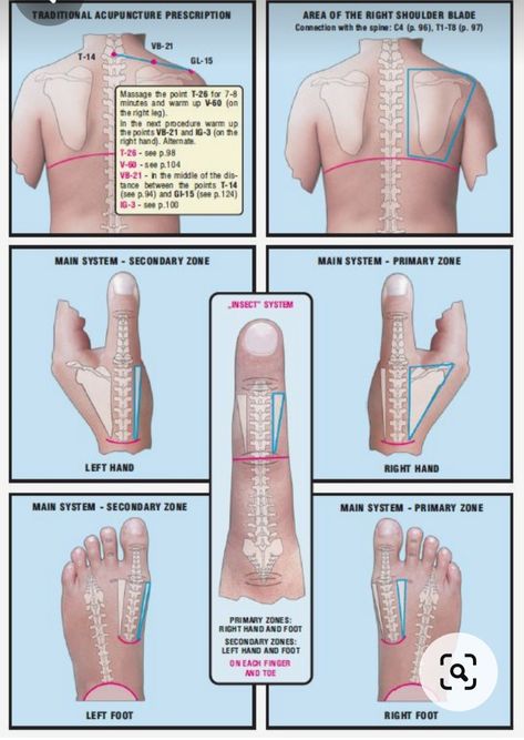 Body Reflexology, Body Massage Techniques, Healing Techniques, Massage Therapy Techniques, Reflexology Chart, Shoulder Pain Relief, Reflexology Massage, Medical Anatomy, Hand Therapy