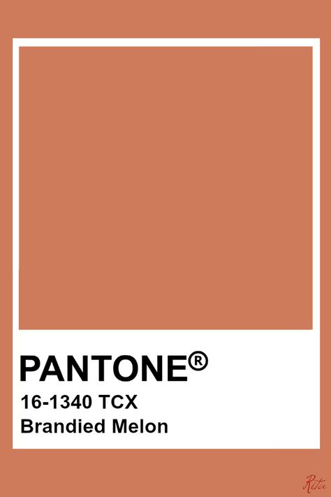 Pantone Orange, Terracotta Color Palette, Pantone Tcx, Pantone Red, Pantone Color Chart, Pantone Swatches, Pantone Palette, Pantone Colour Palettes, Orange Color Palettes