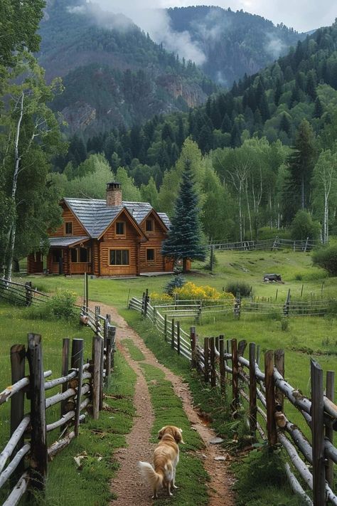 Paradise Places, Cute Cabins, Cabin Aesthetic, Dream Life House, Nature Camping, Dream House Rooms, Log Cabins, Village Life, Dream House Exterior