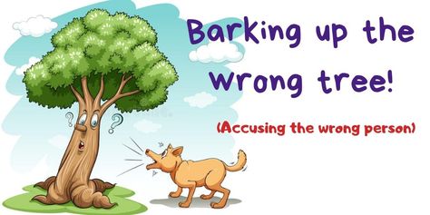 Barking up the wrong tree definition: Trying to do something in a way that will not work or accusing the wrong person. List some more examples! - - #speakenglish #toefl #englishclass #englishlearning #englishvocabulary #idioms #learnenglishonline #education Barking Up The Wrong Tree, Tree Costume, Learning English Online, Wrong Person, English Class, Speaking English, Do Something, English Vocabulary, Learn English