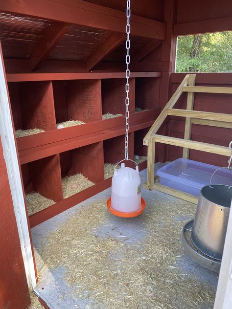 Coop Roost Ideas, Chicken Coop Roost Ideas, Chicken Coop Roost, Reban Ayam, Chicken Coop Designs Diy, Chicken Roost, Cute Chicken Coops, Easy Chicken Coop, Chicken Coop Garden